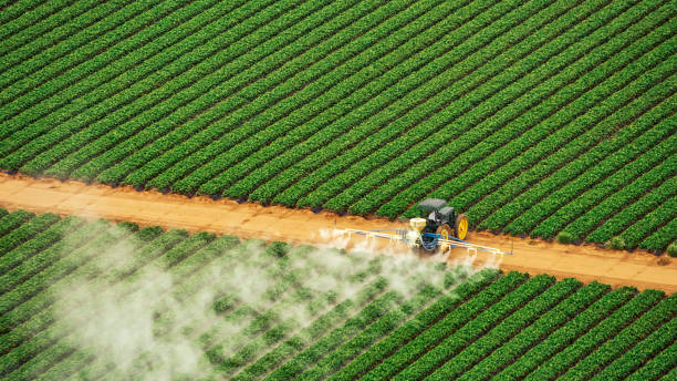 Best Pest Removal Services  in Lebanon, PA