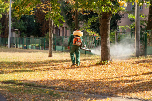 Best Affordable Pest Control Services  in Lebanon, PA