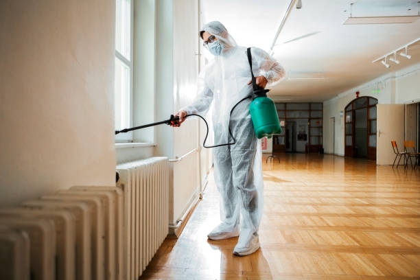 Best Flea Control Services  in Lebanon, PA
