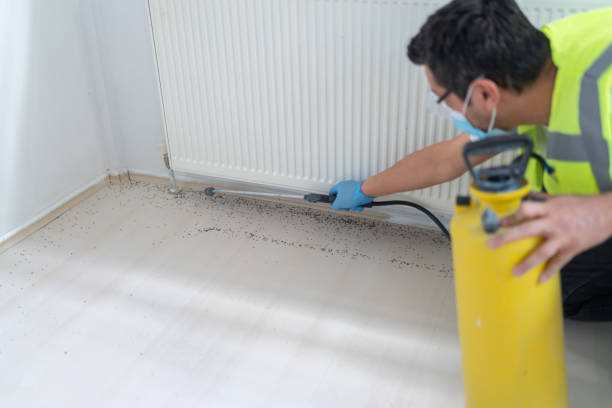 Best Local Pest Control Services  in Lebanon, PA