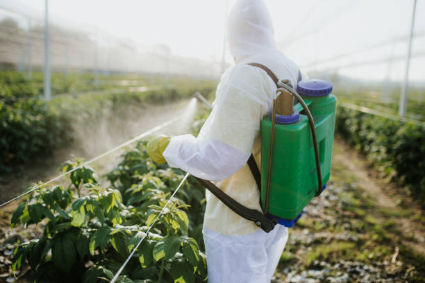 Best Affordable Pest Control Services  in Lebanon, PA